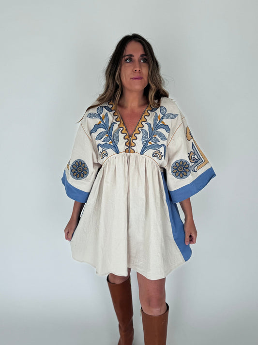 Harlow Blue Embroidered Mini Dress