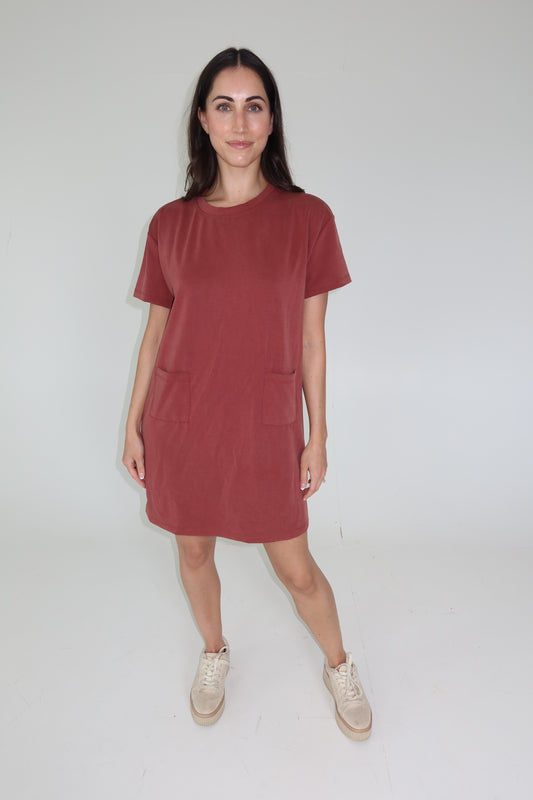 Frances Rust Mini Dress