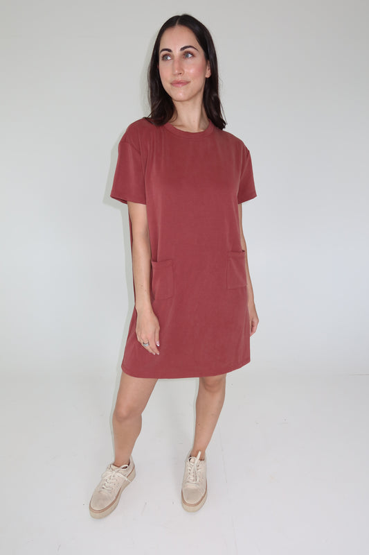 Frances Rust Mini Dress