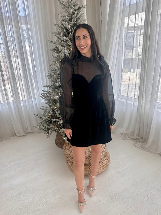 Blaire Puff Sleeve Velvet Mini Dress