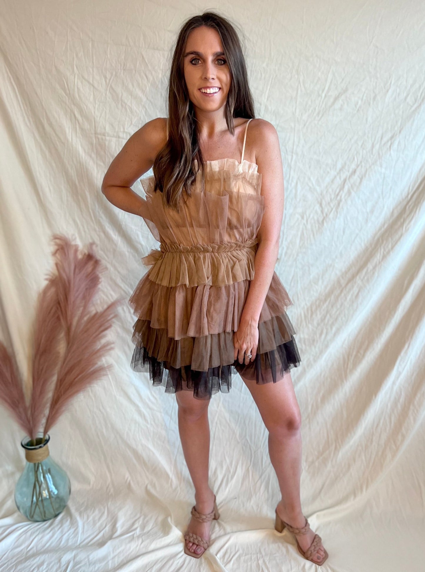 Can't Look Away Ombre Multi-toned Block Tulle Mini Dress