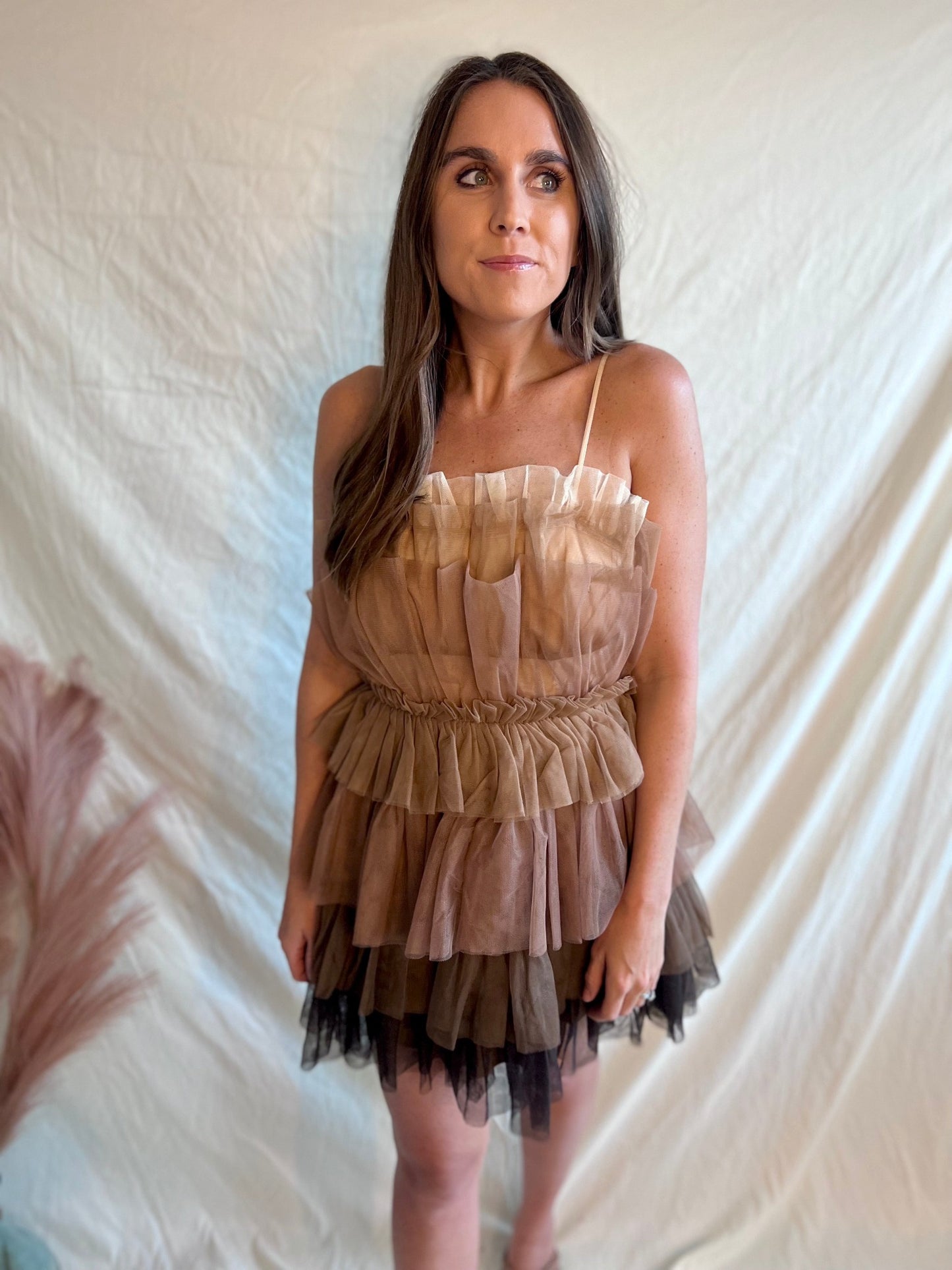 Can't Look Away Ombre Multi-toned Block Tulle Mini Dress