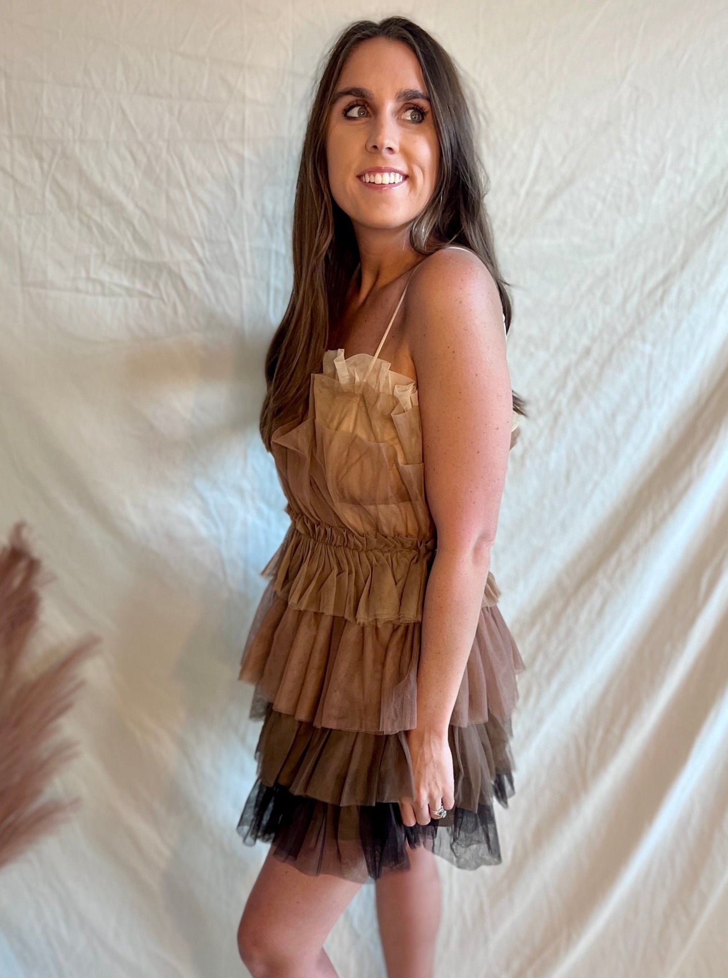 Can't Look Away Ombre Multi-toned Block Tulle Mini Dress